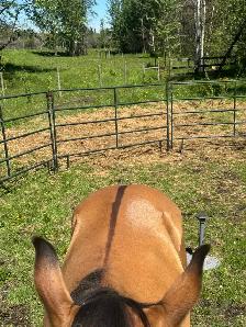 DUN MARE. - Photo 3
