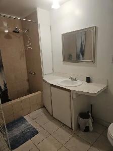 Tout compris meublé wifi : Grand Sudio  Centre-Ouest MTL-950$/mo - Photo 3