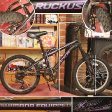 Vélo montagne enfant professionnel 18' 6-vit. TOUT MARCHE 100%