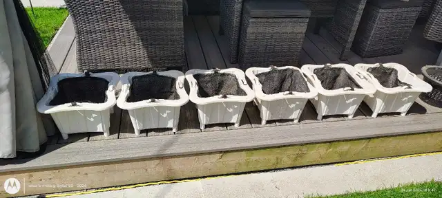 6 paniers hydroponique