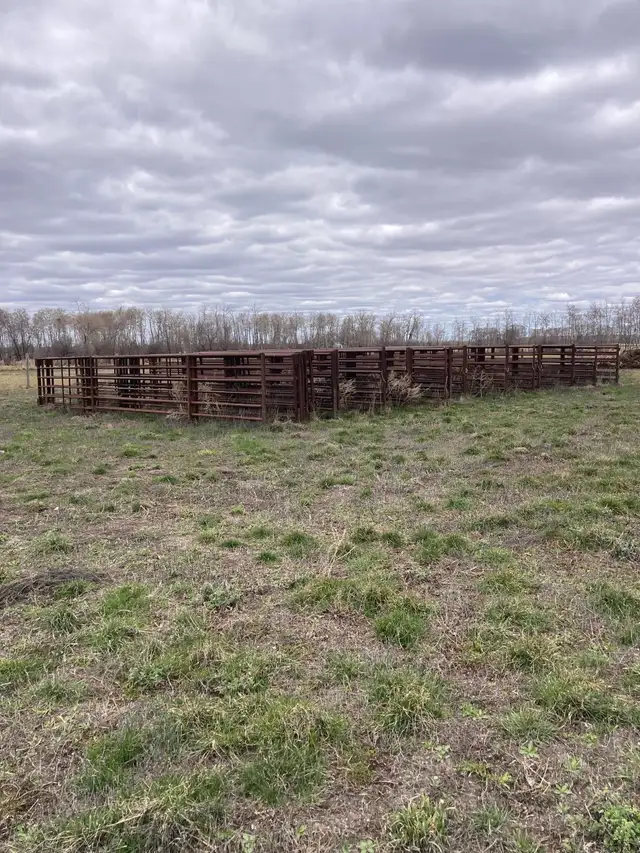 livestock equipment and fencing for sale