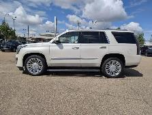 2015 Cadillac Escalade Platinum - Photo 3