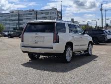 2015 Cadillac Escalade Platinum - Photo 7