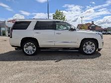 2015 Cadillac Escalade Platinum - Photo 8