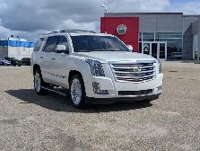 2015 Cadillac Escalade Platinum - Photo 9