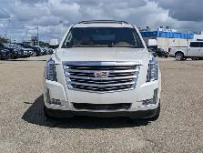 2015 Cadillac Escalade Platinum - Photo 10