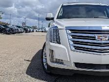 2015 Cadillac Escalade Platinum - Photo 11