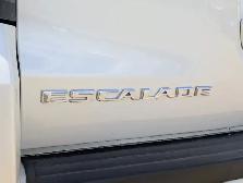 2015 Cadillac Escalade Platinum - Photo 16