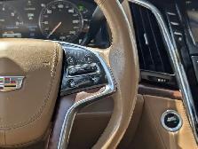 2015 Cadillac Escalade Platinum - Photo 29
