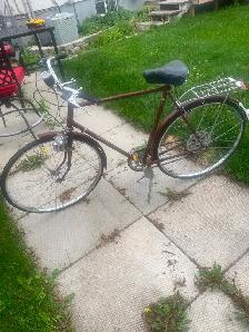 Bike Raleigh
