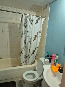 Grand et beau 5 ½ sur Boulevard Des Ormeaux - Photo 7