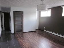 Beautiful & Modern 1-Bedroom Lower-Level Apartment-East End - Photo 2