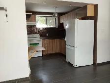 Beautiful & Modern 1-Bedroom Lower-Level Apartment-East End - Photo 3