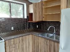 Beautiful & Modern 1-Bedroom Lower-Level Apartment-East End - Photo 4