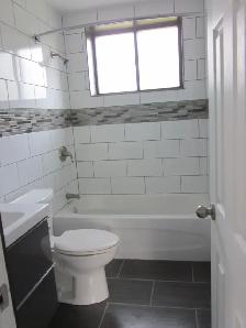 Beautiful & Modern 1-Bedroom Lower-Level Apartment-East End - Photo 7