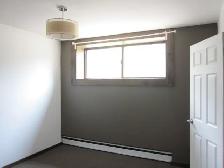 Beautiful & Modern 1-Bedroom Lower-Level Apartment-East End - Photo 8