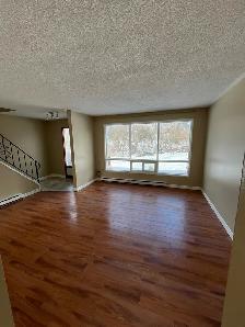 STAYNER - Centrally Located, 2.5 Bdrm Apartment - Photo 2