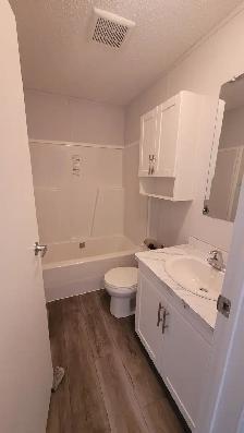 Coming to Eckville Estates, Lot #110 - 16' X 76' Modular Home - Photo 6