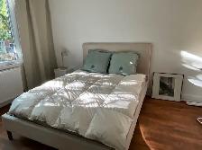Superbe chambre meublée près de l’UdeM. - Photo 4