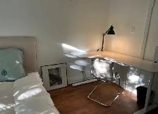 Superbe chambre meublée près de l’UdeM. - Photo 6