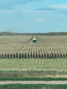 Custom chopping - Photo 4
