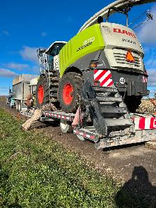 Custom chopping - Photo 6