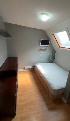 3rd Floor Studio - All Inclusive - Lakeshore & Islington - Photo 5