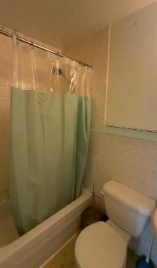 3rd Floor Studio - All Inclusive - Lakeshore & Islington - Photo 8