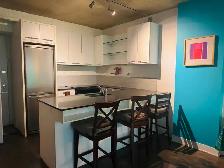 Furnished 3 1/2 Condo in the heart of downtown Montreal - Photo 5