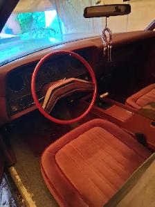 1978 Ford LTD sport for sale - Photo 2