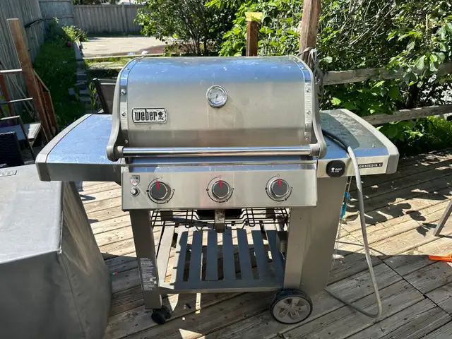 Weber Bbq