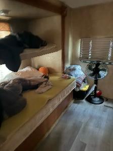 cardinal 36foot 5th wheel - Photo 8
