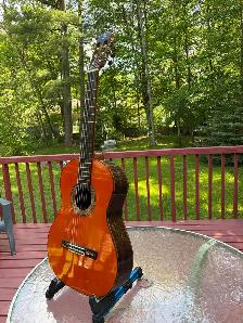 Raimundo Classical/Flamenco Guitar - Photo 3