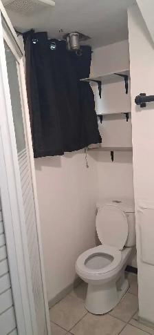 Beautiful, Quiet, Bachelor Suite - $1000 EVERYTHING INCLUDED! - Photo 5