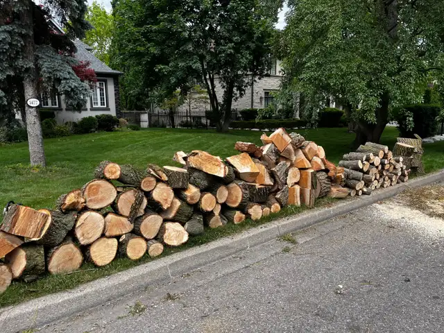 Free Firewood