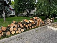 Free Firewood