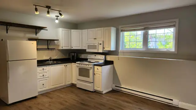 Bright 1-Bedroom Basement Apartment - Utilities Included
