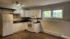 Bright 1-Bedroom Basement Apartment - Utilities Included