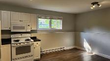 Bright 1-Bedroom Basement Apartment - Utilities Included - Photo 2