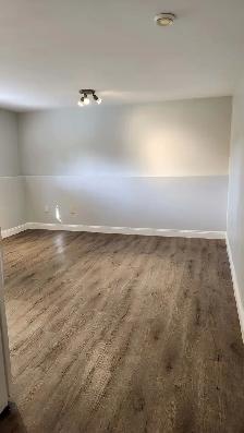 Bright 1-Bedroom Basement Apartment - Utilities Included - Photo 3