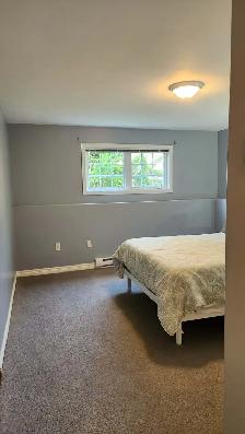 Bright 1-Bedroom Basement Apartment - Utilities Included - Photo 4