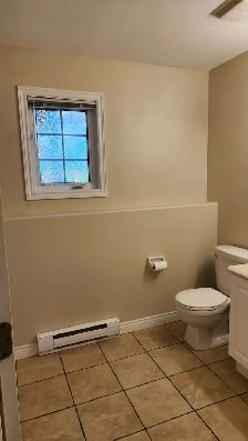 Bright 1-Bedroom Basement Apartment - Utilities Included - Photo 6