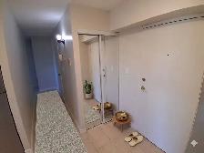 Two Bedroom Apartments - Tranby at Lauzon Road - Photo 3