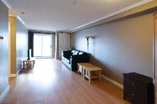 Furnished 1 Bedroom 1 Bathroom Condo for Rent in Gregoire - Photo 3