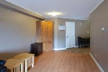 Furnished 1 Bedroom 1 Bathroom Condo for Rent in Gregoire - Photo 4