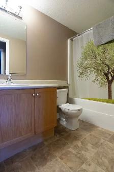 Furnished 1 Bedroom 1 Bathroom Condo for Rent in Gregoire - Photo 6