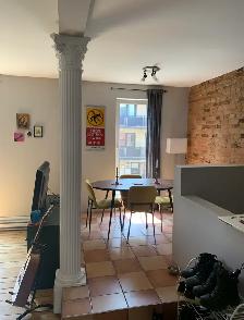 4 1/2 apartment for rent, McGill Ghetto in the Plateau - Photo 3
