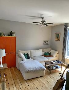 4 1/2 apartment for rent, McGill Ghetto in the Plateau - Photo 4