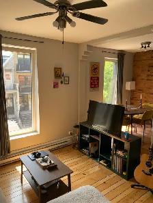 4 1/2 apartment for rent, McGill Ghetto in the Plateau - Photo 5