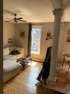 4 1/2 apartment for rent, McGill Ghetto in the Plateau - Photo 6